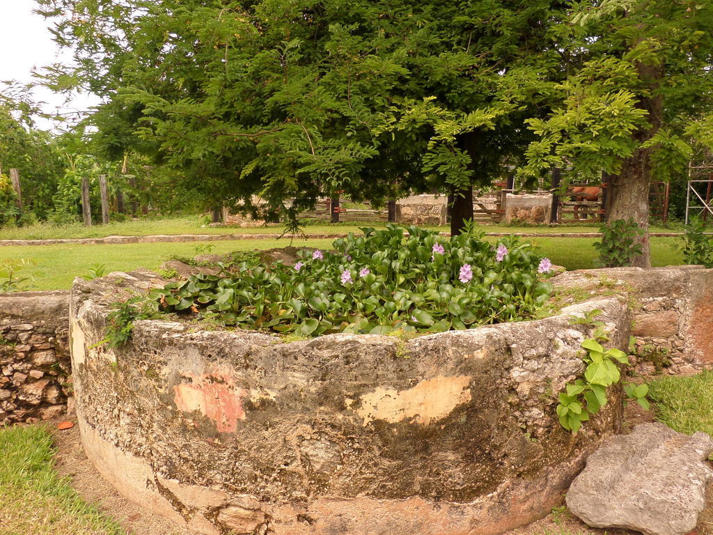 Hacienda Tepich Casa Vargas Mérida Exterior foto
